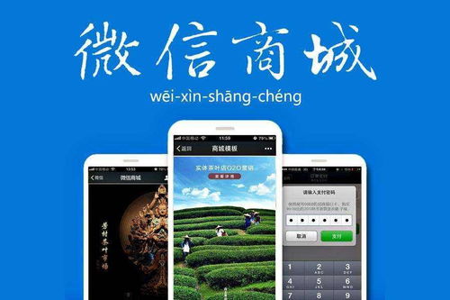 成都微信開發(fā) 企業(yè)如何進(jìn)行微信二次開發(fā)與基礎(chǔ)軟件服務(wù)
